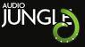 Audio Jungle, Your Choice for Audio